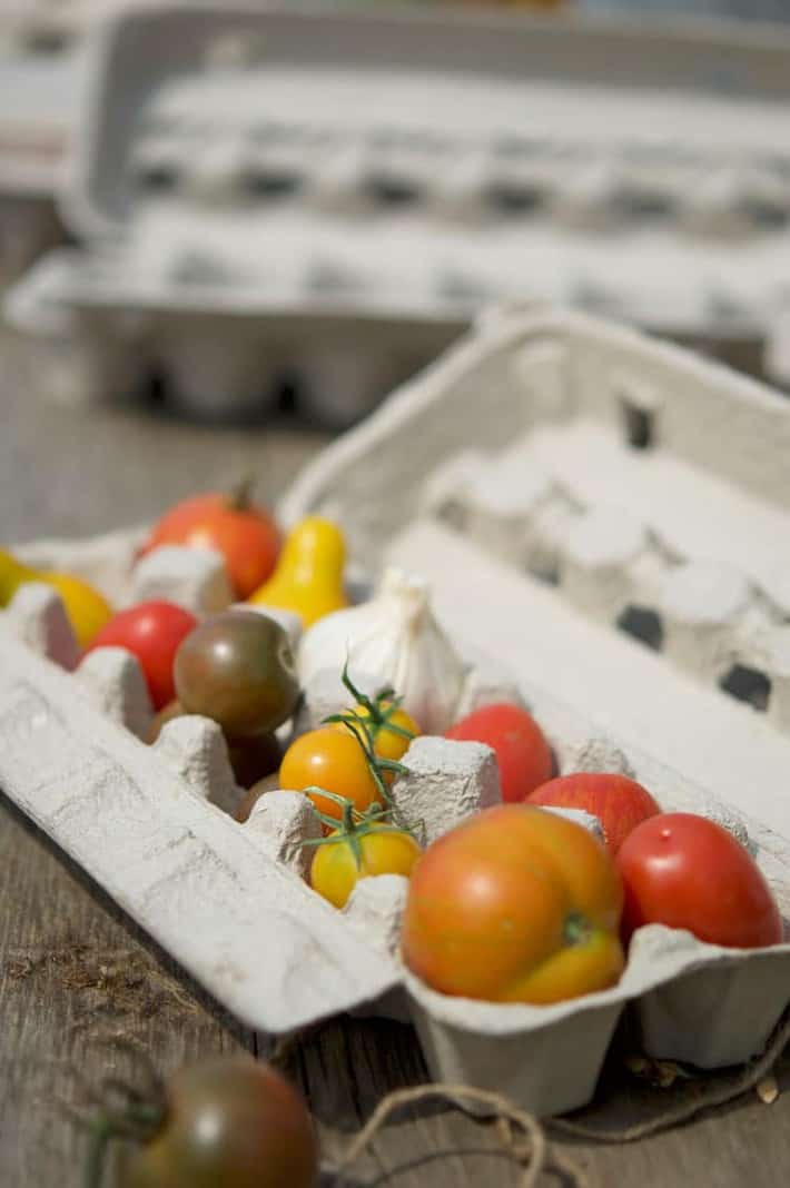 Tomatoes fill a cardboard egg carton.