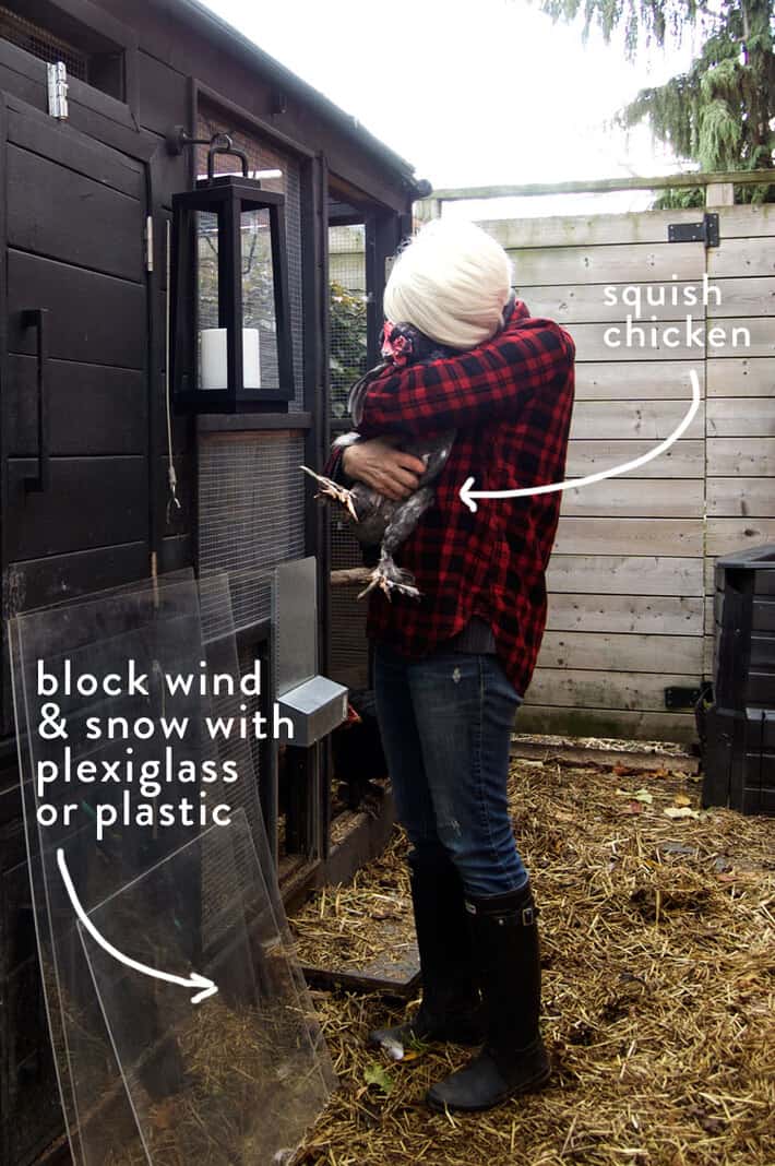 Winterize a chicken coop