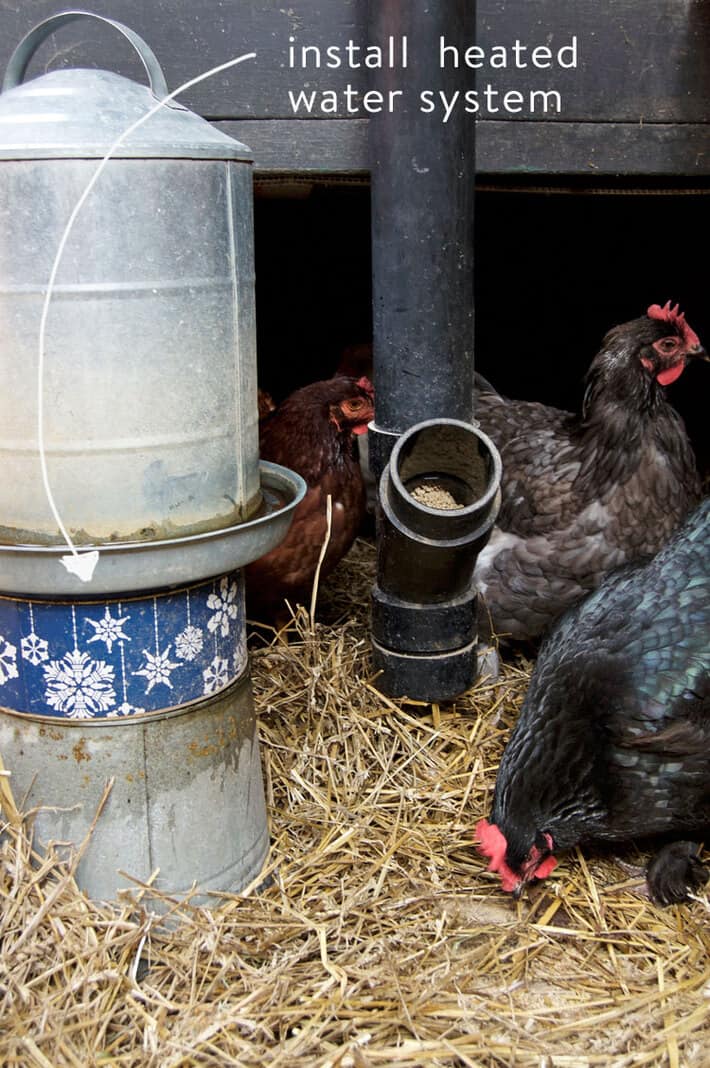 Winterize a chicken coop