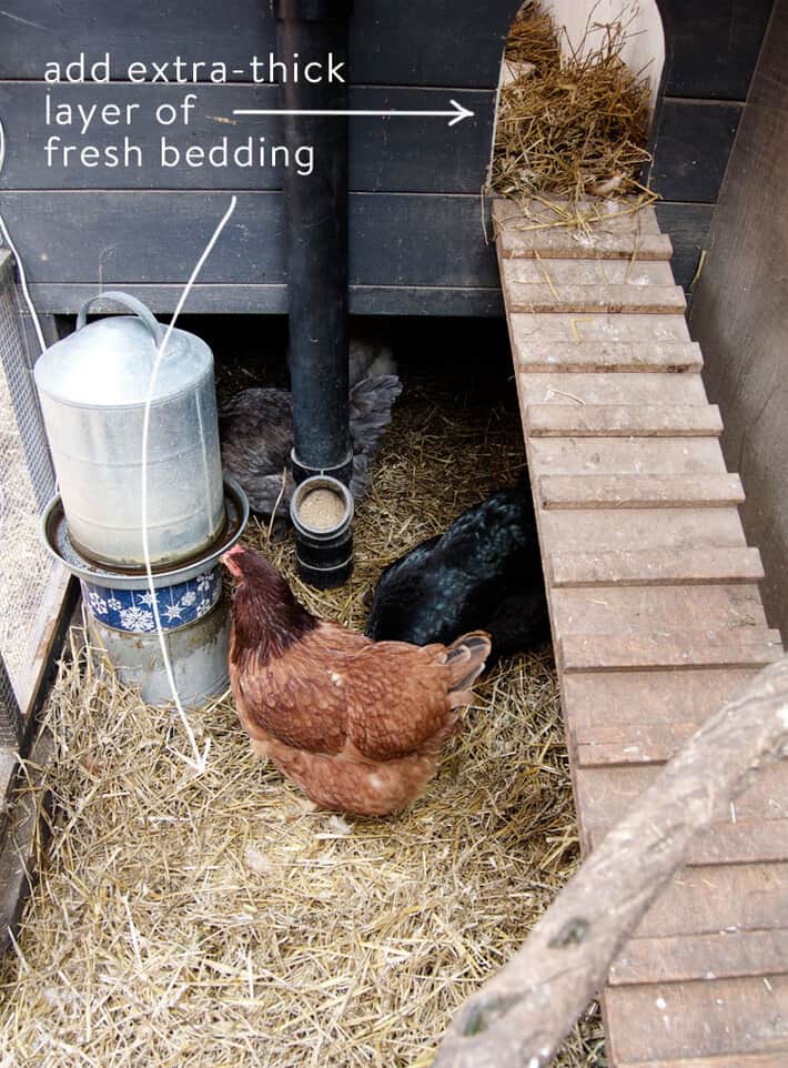 How To Insulate A Chicken Coop For Winter?  
