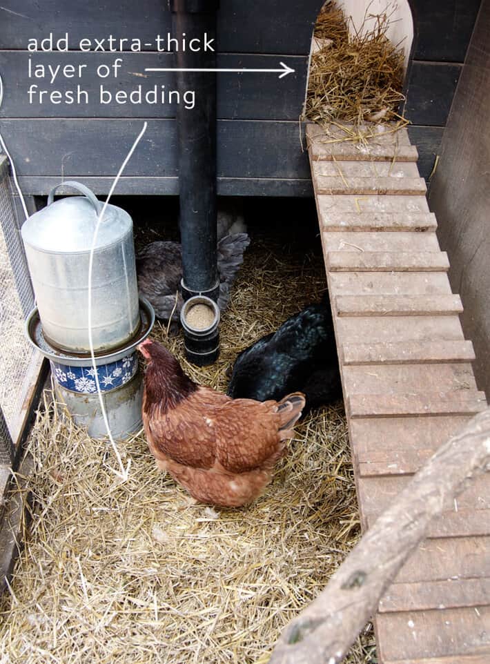 Winterize a chicken coop