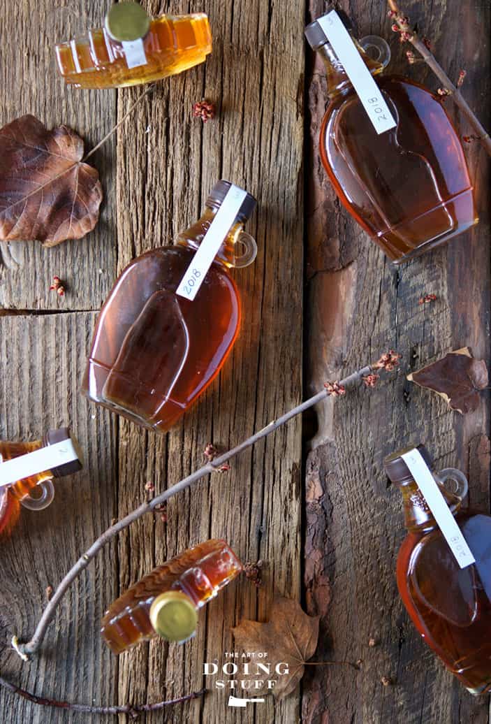 Various grades of maple syrup in glass bottles laid out on natural barn board.