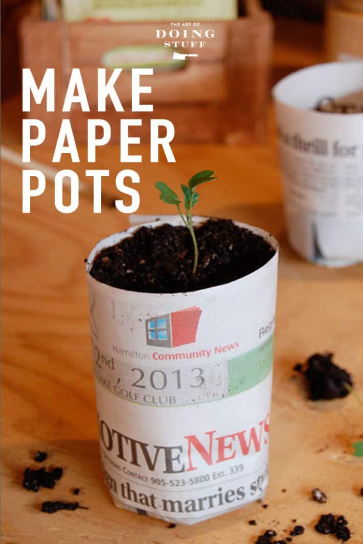 How to Make Paper Pots For Planting