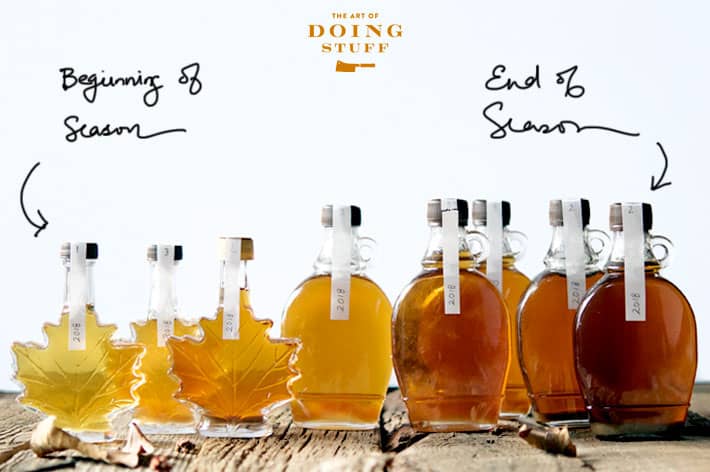 Golden, amber or dark? How to choose the right maple syrup for your home