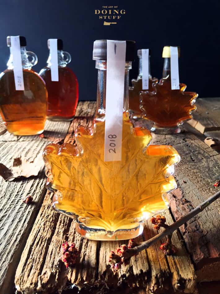 Maple leaf shaped glass bottle of backyard produced Golden maple syrup with on a rough piece of barn board with a budding maple tree branch in foreground.