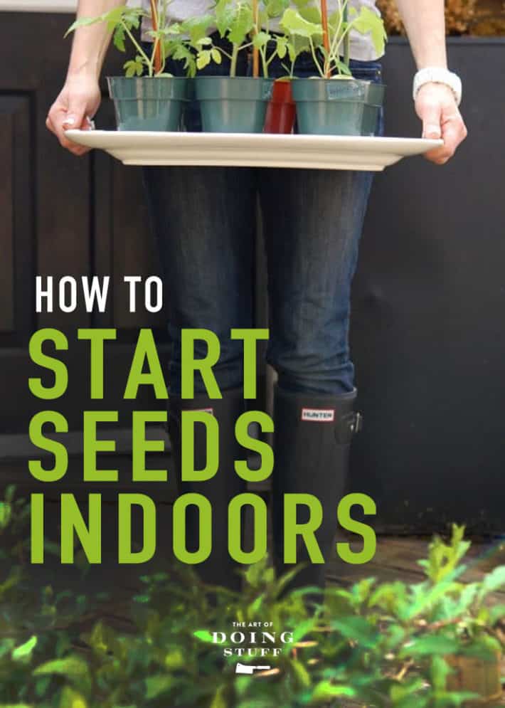 From Seed to Sprout: Discover the Art of Seed Starting