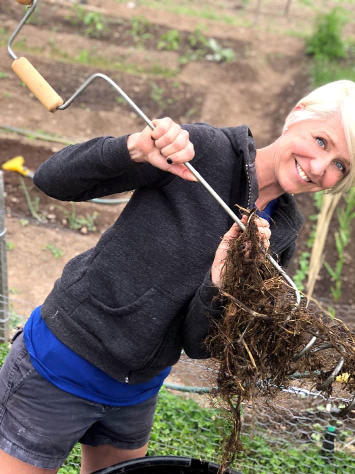 Compost Crank Twist™ compost aerator