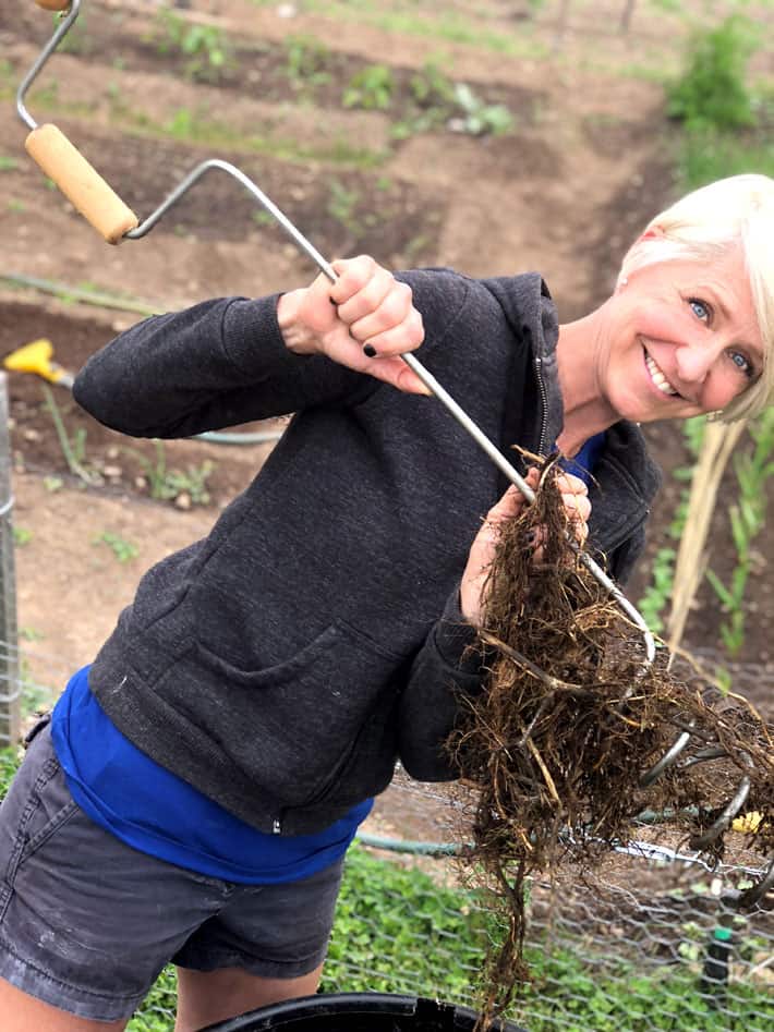 Karen Bertelsen with DIY compost turner.