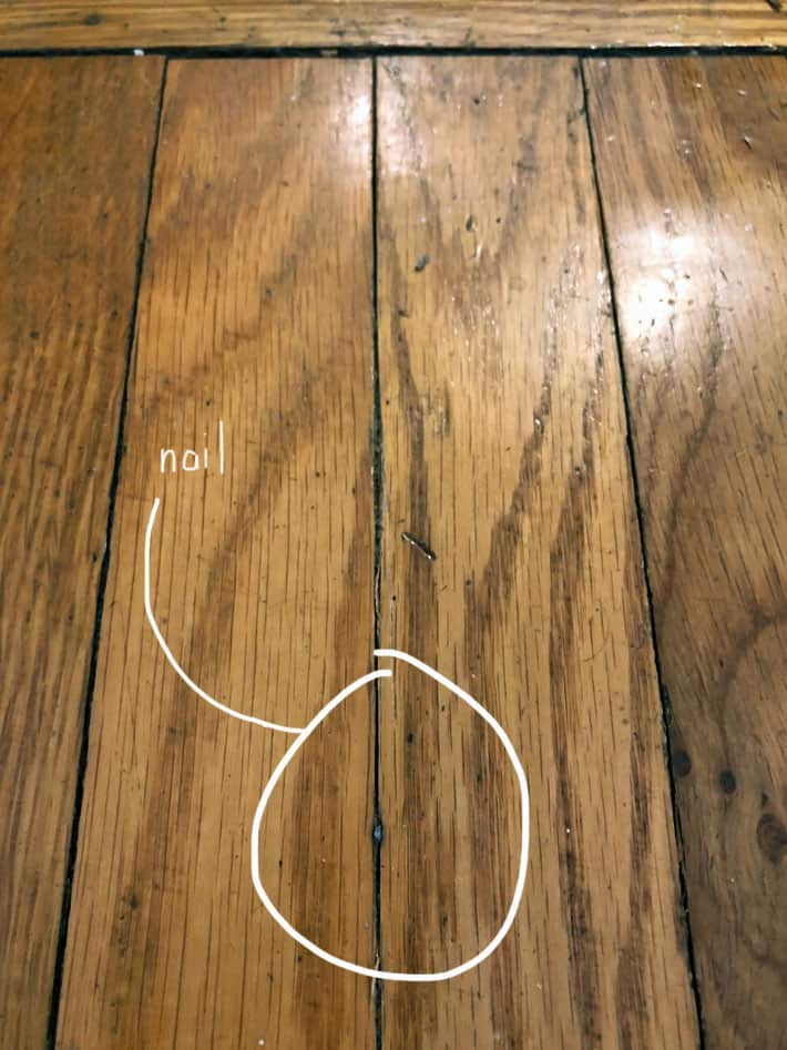 Finishing nail showing through crack in hardwood flooring.