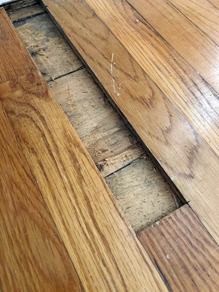 Undisturbed, unfinished antique pine flooring under old oak flooring.