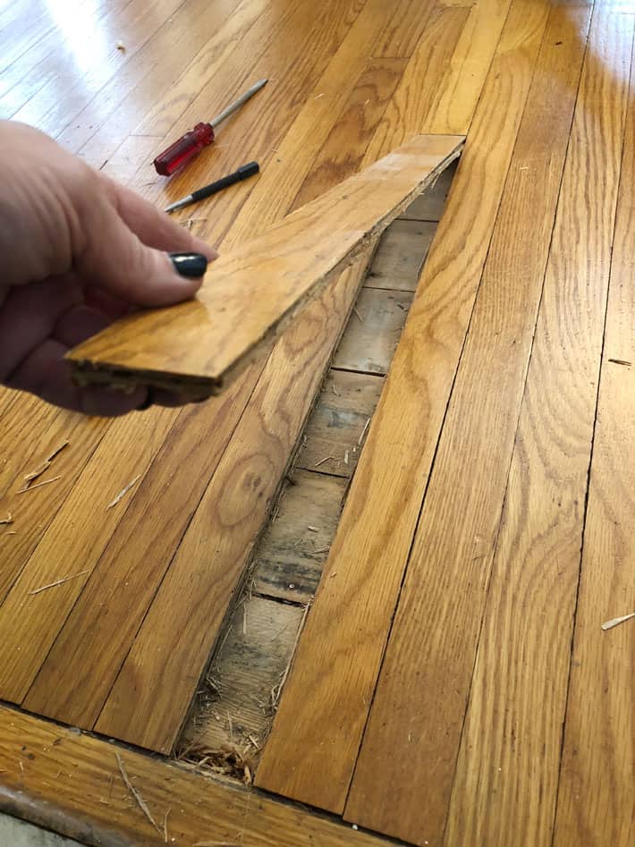 Lifting single piece of cut out flooring to reveal pine underneath.