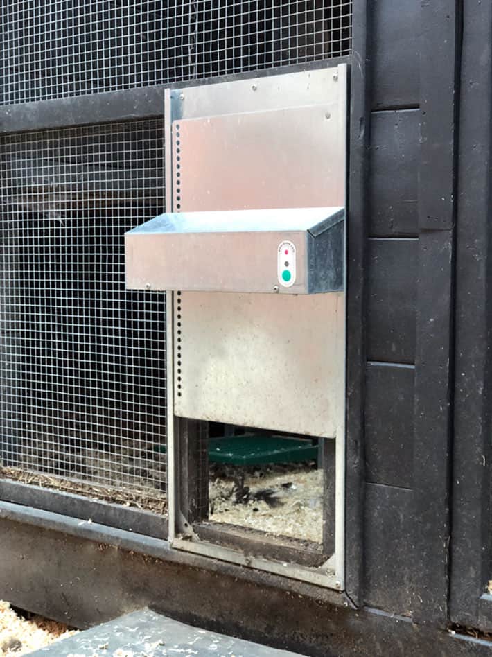 an Automatic Chicken Coop Door