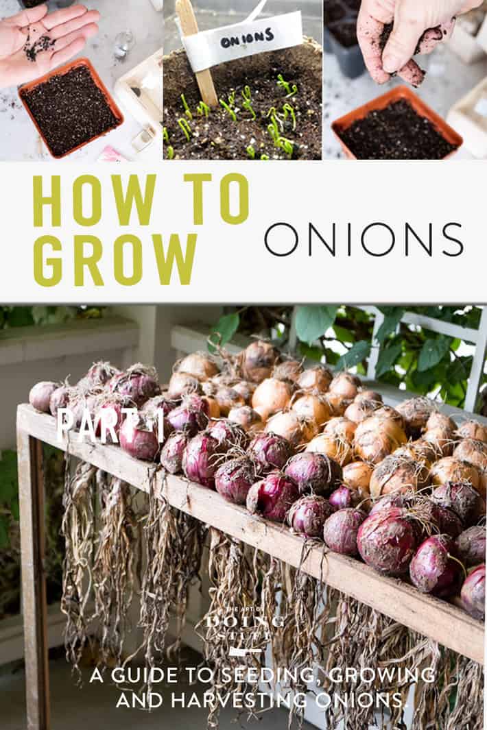 The Complete Guide to Growing Onions.