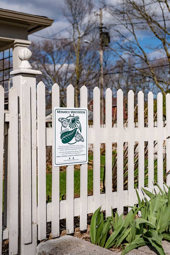 Monarch Watch Waystation sign hanging on outside of white picket fence. 