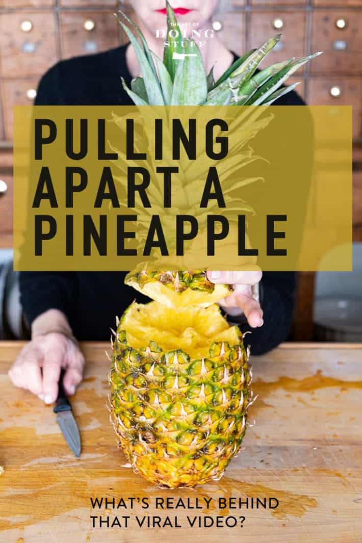 How to Eat a Pineapple by Pulling it Apart