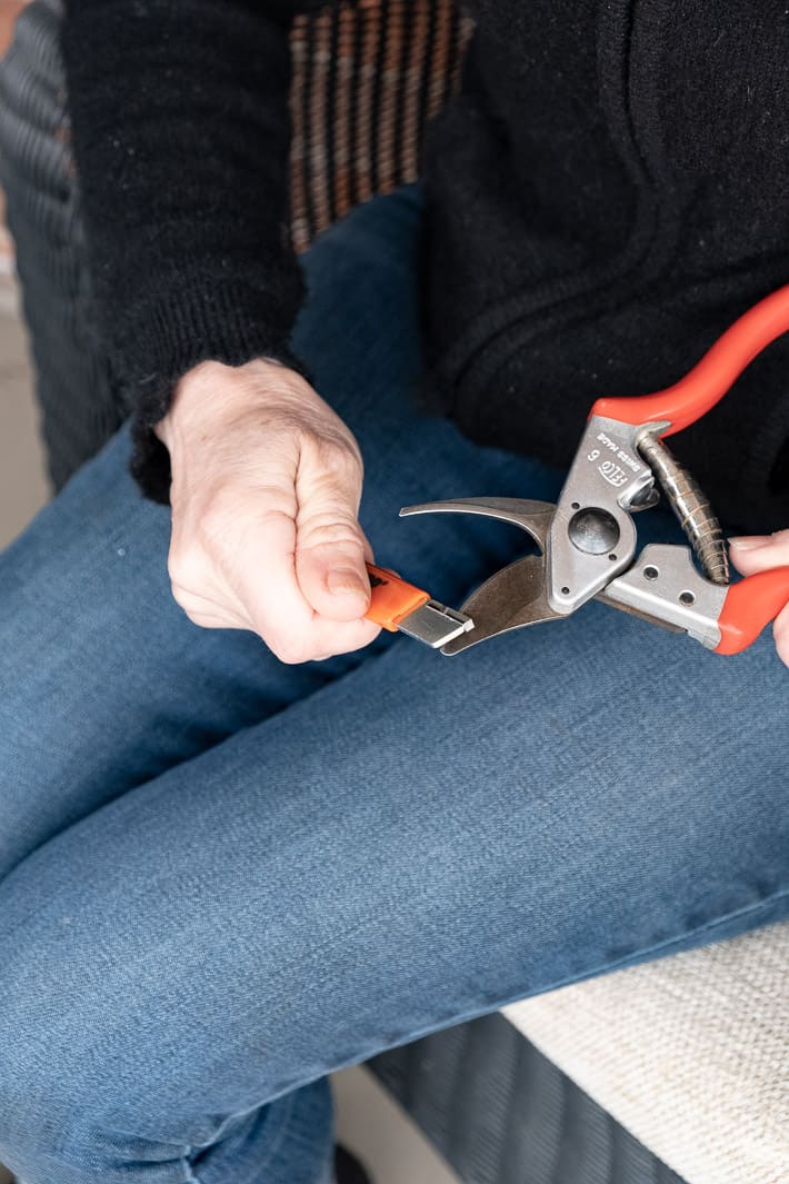 Karen Bertelsen sharpens a pair of Felco pruners with a Speedy Sharp.