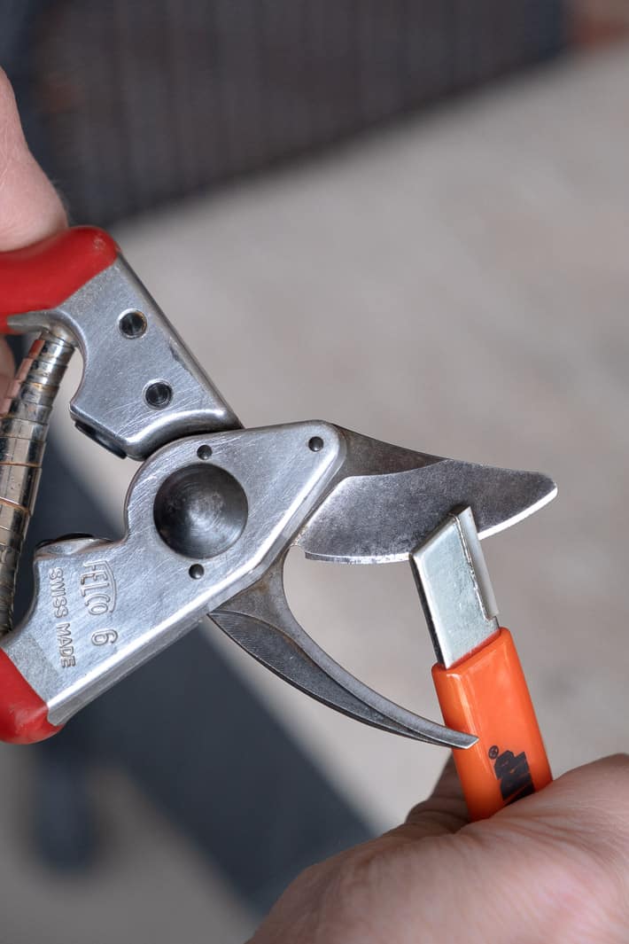 Sharpening Felco pruners correctly with a Speedy Sharp by finding the original, factory bevel.