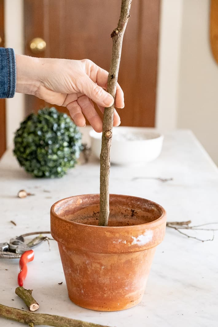 Stick being centred in clay pot for making DIY artificial topiary.