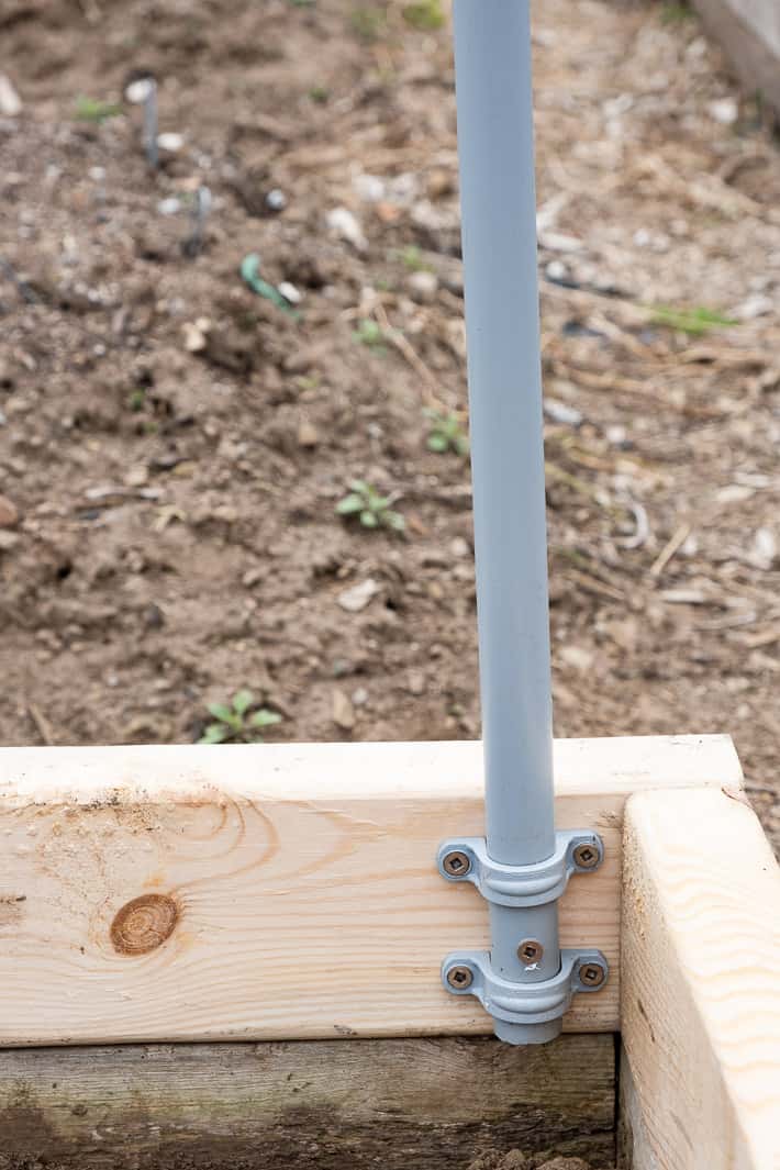 Electrical conduit secured with clamps and a screw keeps hoops of the hinged hoop house from shifting.