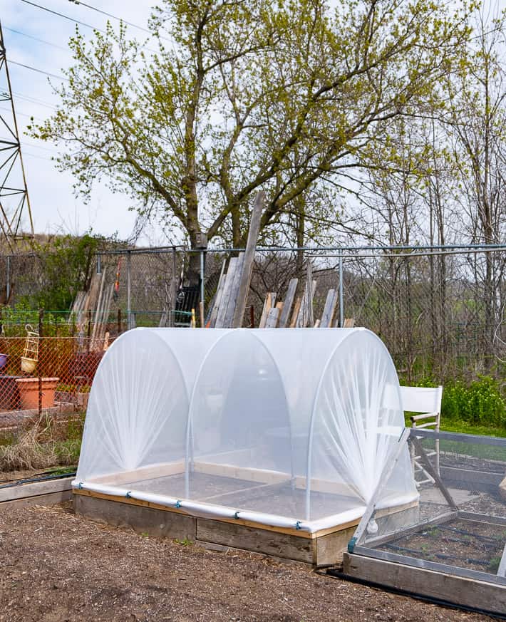 The best defence against cabbage moth and other insects, a hinged hoop house sits in a large garden plot waiting to be planted with vegetables.