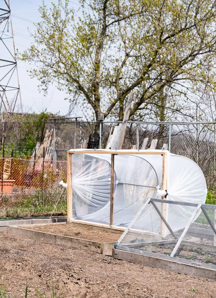 Hinged hoop house open for easy access.