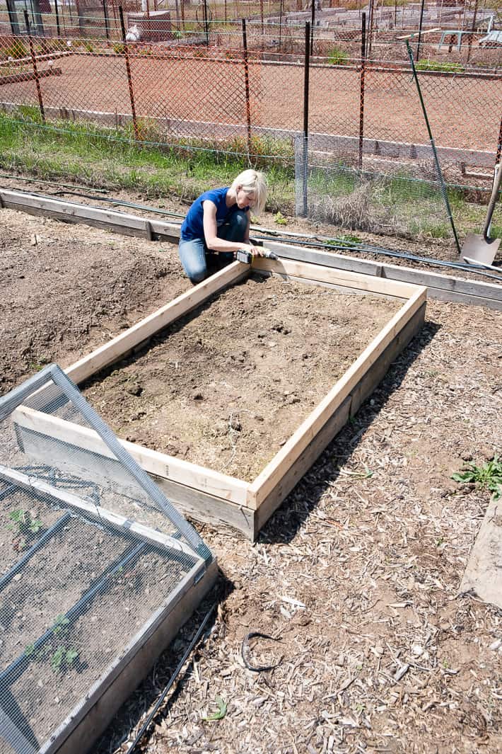 Karen Bertelsen in a large garden screwing together a frame to support a hinged hoop house to protect vegetables from insects.