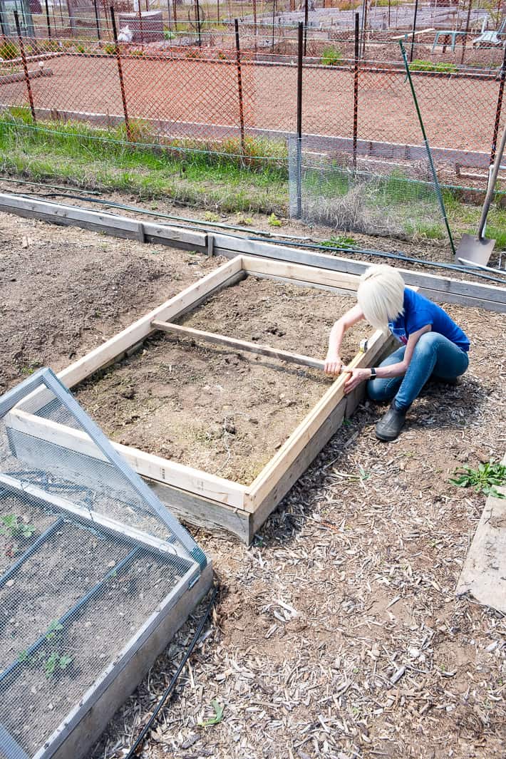 Karen Bertelsen kneeling down to screw in a support bar across the frame of a hinged hoop house she's building in a large garden.
