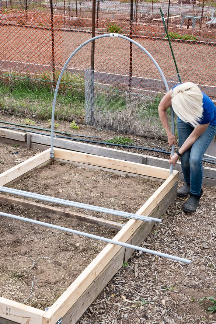 Karen Bertelsen bends electrical conduit into place in clamps on the interior frame of a hinged hoop house.