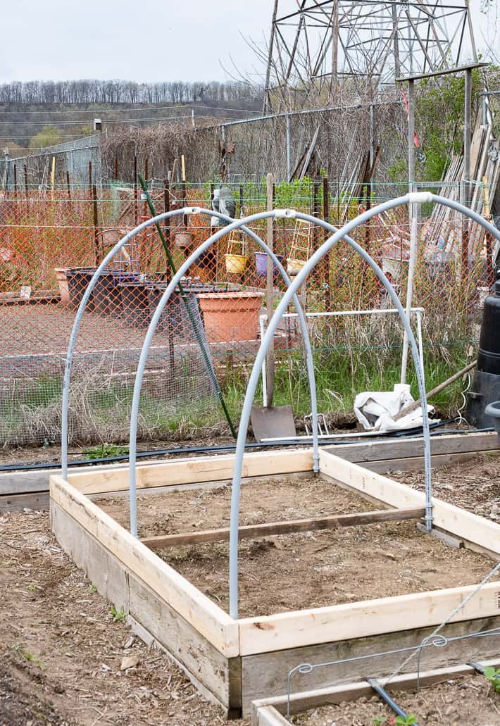 Midway through building a hinged hoop house in a large community garden, the frame is built and the hoops are in place waiting for the cross bar to be put in place.