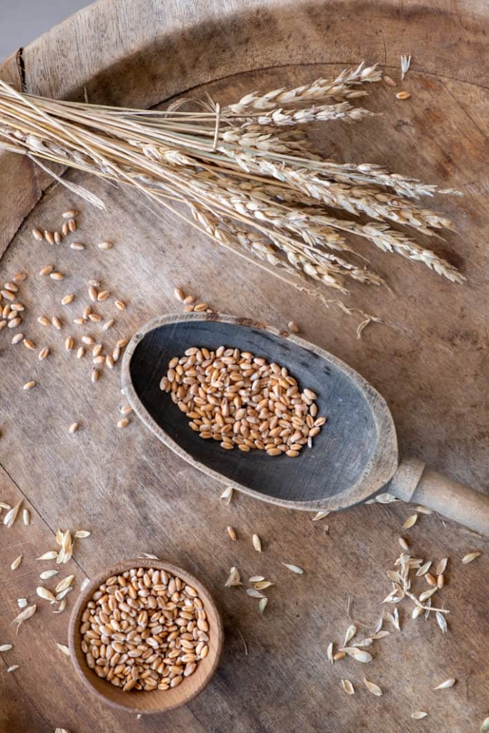 A spray of wheat laying on top of a large round wood platter along with an antique wood spoon filled with wheat berries.