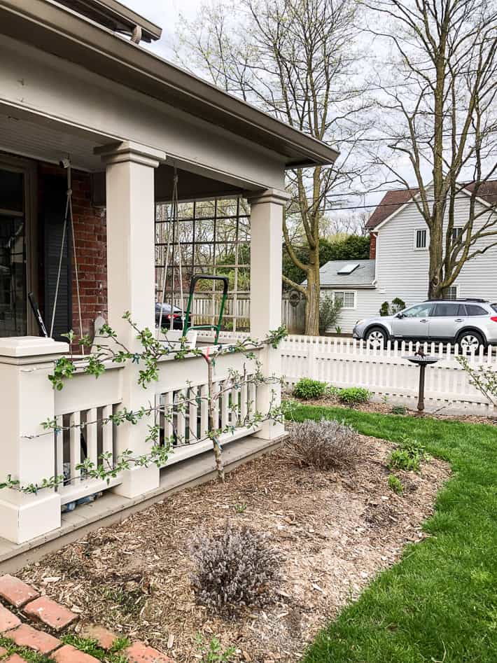 Front porch of heritage house with gardens and lawn looking a bit bedraggled. 