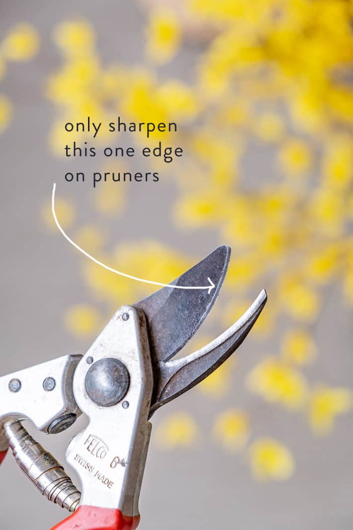 Garden Tool Sharpener Blade Sharpening - Pocket Speedy Sharp Knife Shear  Sharpener for Pruners Scissors (Yellow)
