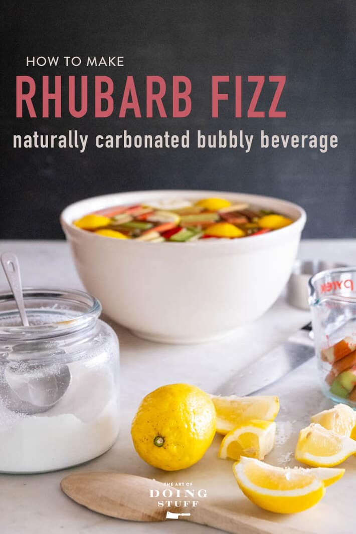 Rhubarb Fizz. A Bursting with Bubbles Summertime Drink.