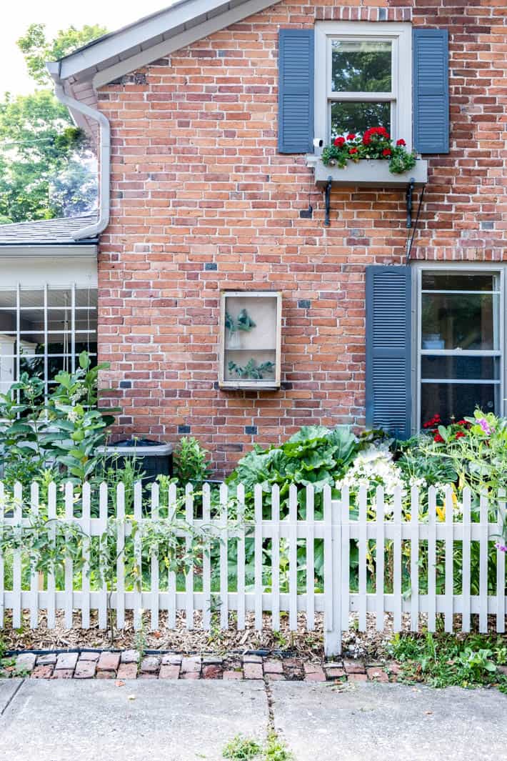 Street view of rustic wood DIY butterfly enclosure hanging on exterior brick wall.