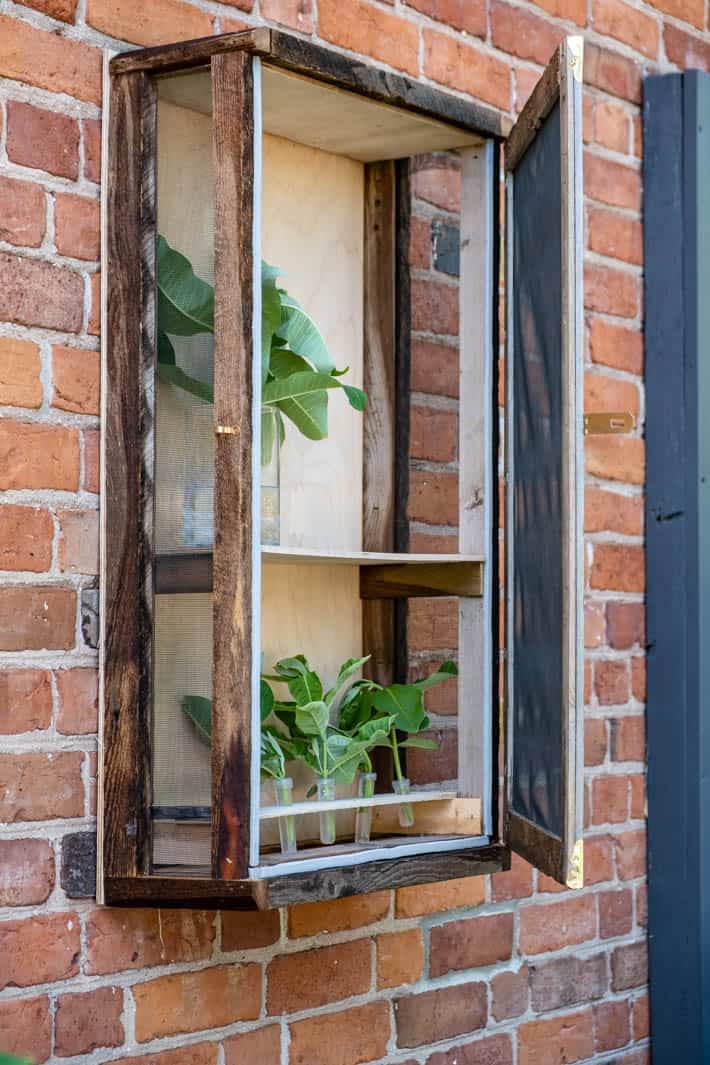 Rustic wood DIY butterfly enclosure hanging on exterior red brick wall.