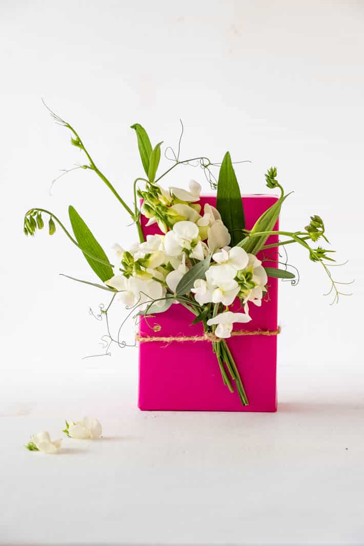 Head-on shot of Perennial Sweet Peas, Sweet Pea tendrils and greenery tied with twine to gift wrapped in fuchsia paper on white background. Two sweet pea blooms on table in foreground. 