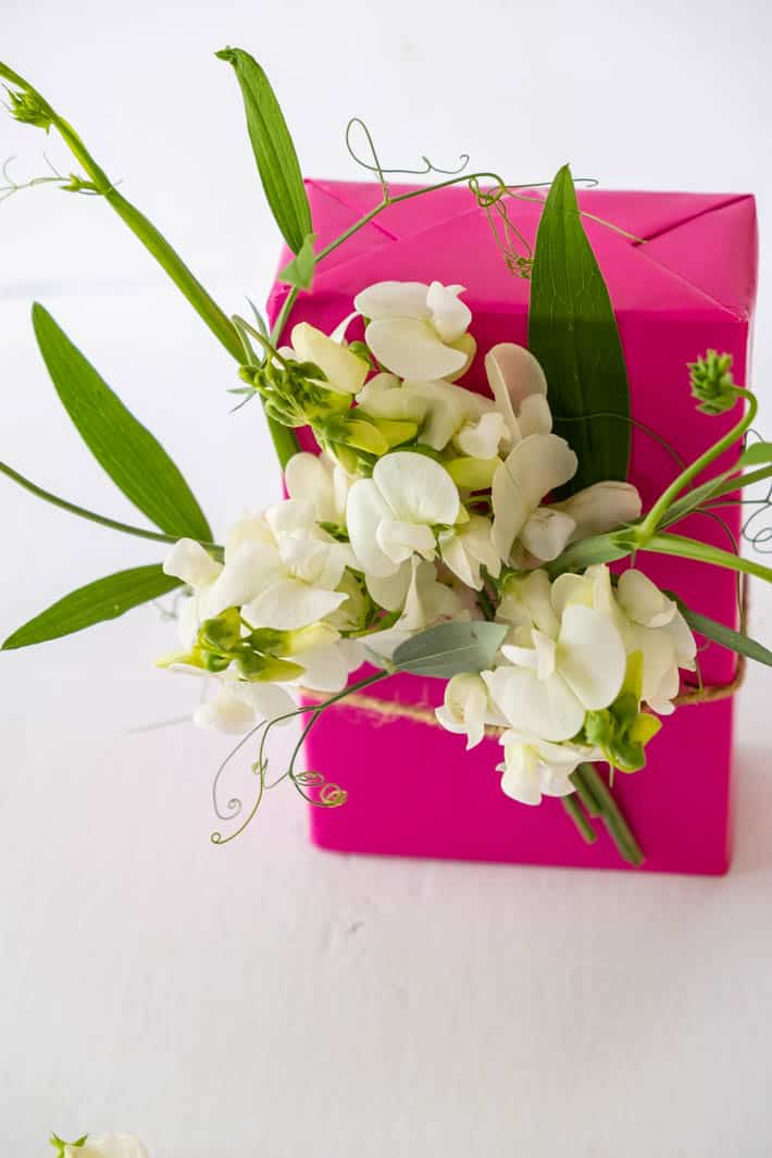 Top view of perennial sweet peas, sweet pea tendrils and greenery tied with twine to gift wrapped in fuchsia paper on white background. 