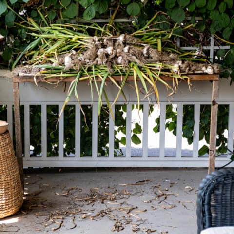 Make an Herb Drying Rack (that's ALSO A Fold Out Table!)