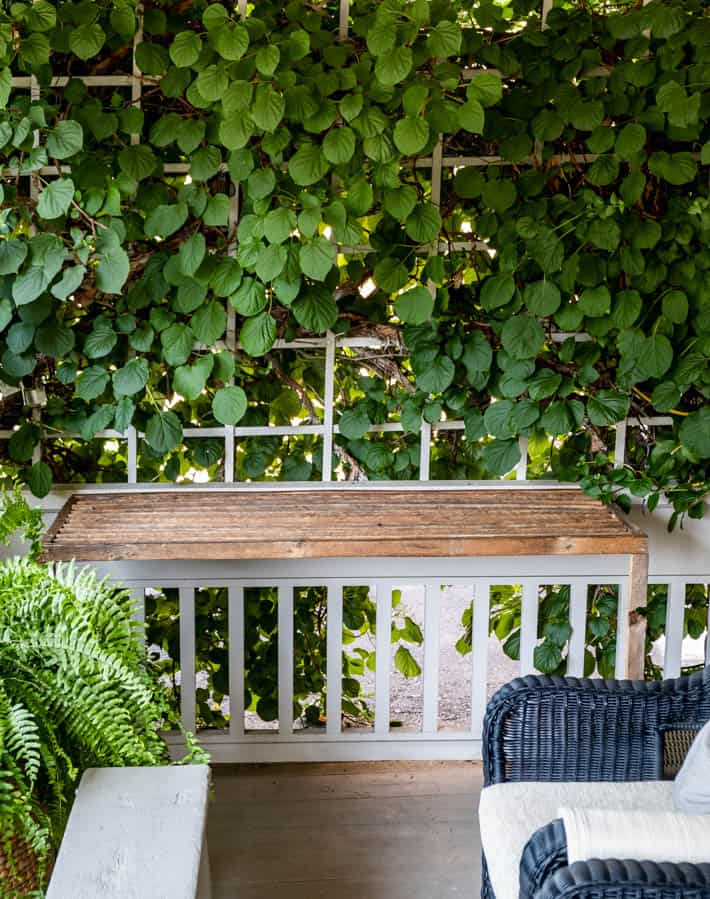 Full view of the wooden DIY herb drying rack that's also a fold-out table. Part of a blue wicker chair, white bench and fern are seen in the foreground. A white trellis with green vines growing on it and the grey porch railing is seen in the background. 