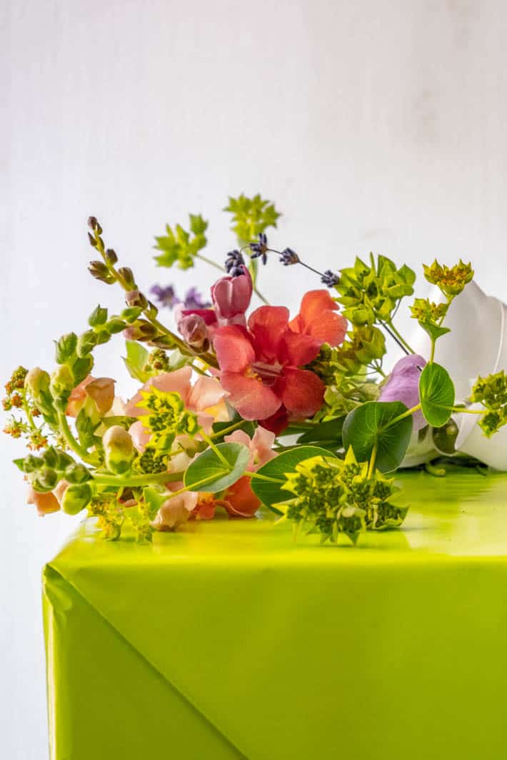 Side view of flower bow on gift wrapped with lime-green paper on white background. 