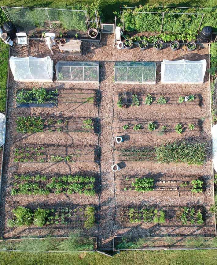 Overhead drone view of Karen Bertelsen's community garden. 