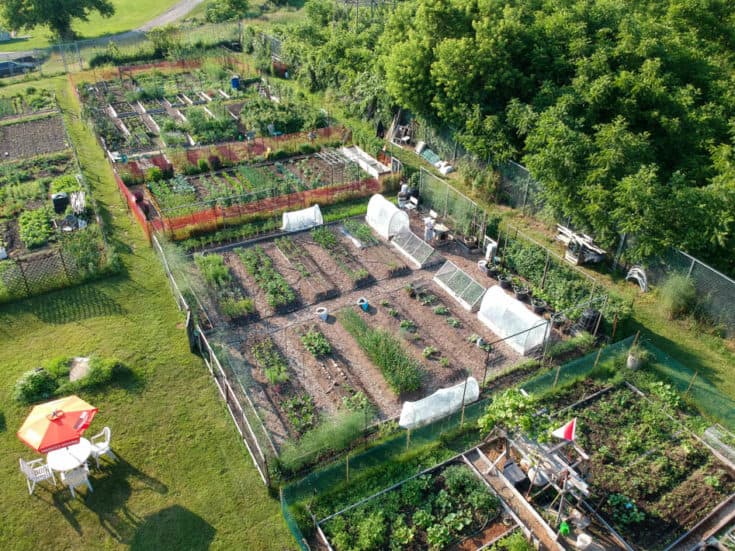 Long overhead shot of Karen Bertelsen's community garden next to lush conservation area.