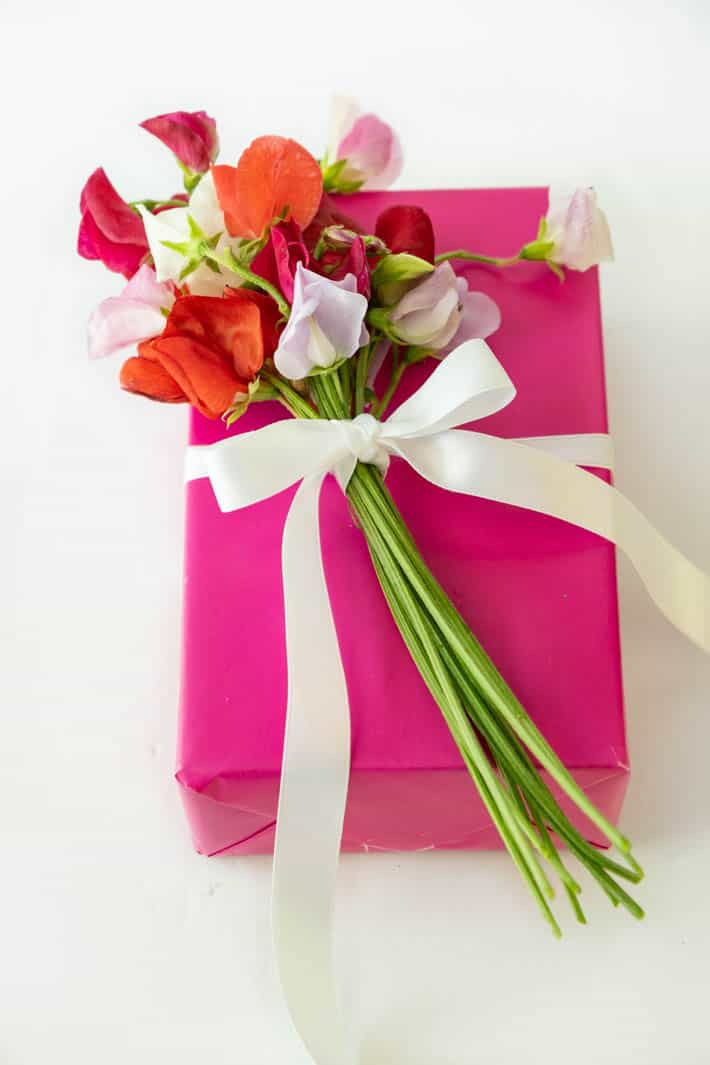 Top view of Spencer giant-mixed old-fashioned sweet peas tied with white ribbon to gift wrapped with fuchsia paper on white background. 