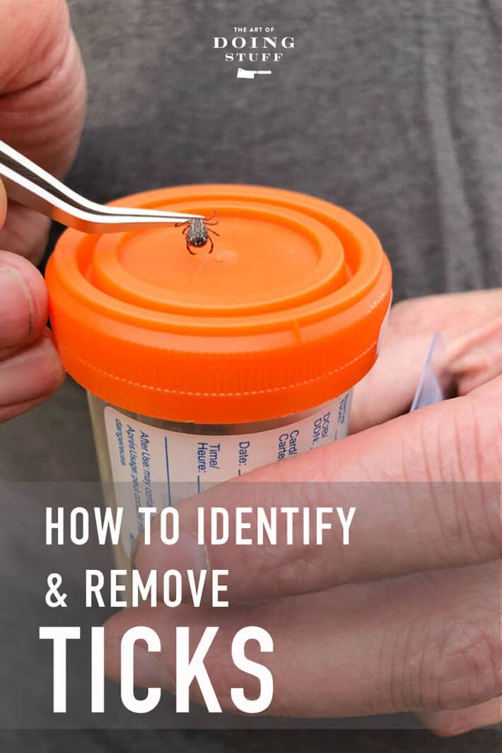 How to Remove a Tick - Barf