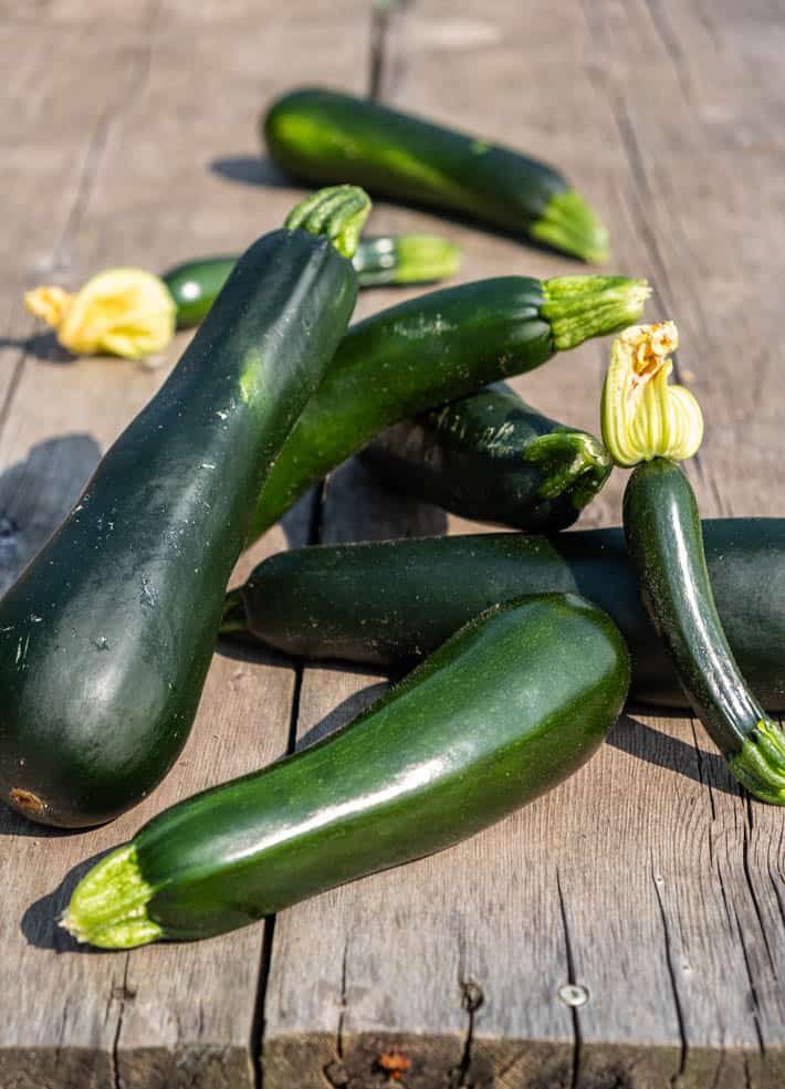 Various sized freshly picked zucchini piled on a wood table outdoors.