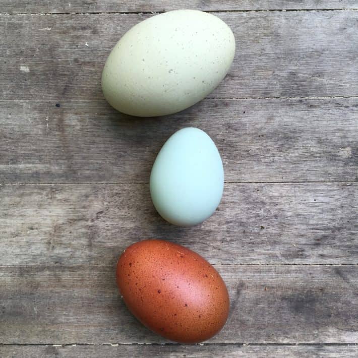 Three eggs on a rustic wooden background. The topmost is a huge pale-green egg, the middle is a small light-blue egg and the bottom is a regular-size speckled brown egg. 