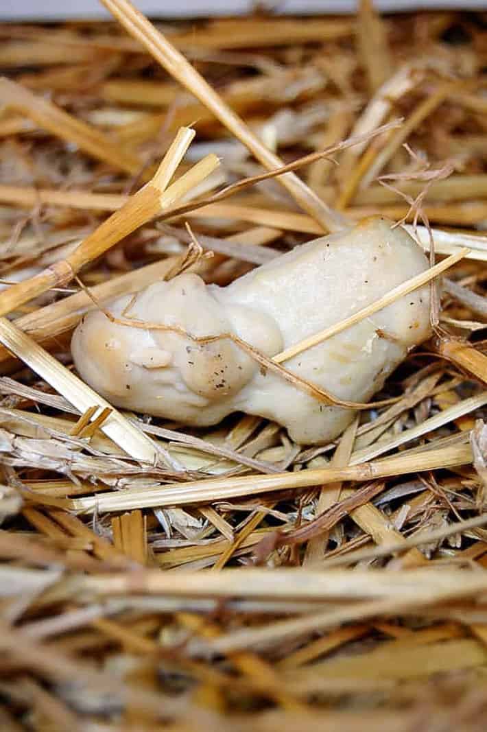 Weird eggs that don't make it into your grocery store carton. The lash egg sitting on a pile of straw.