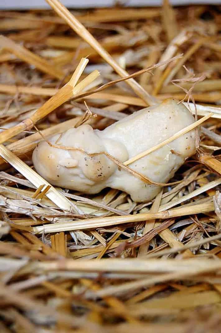 The lash egg sitting on a pile of straw. 