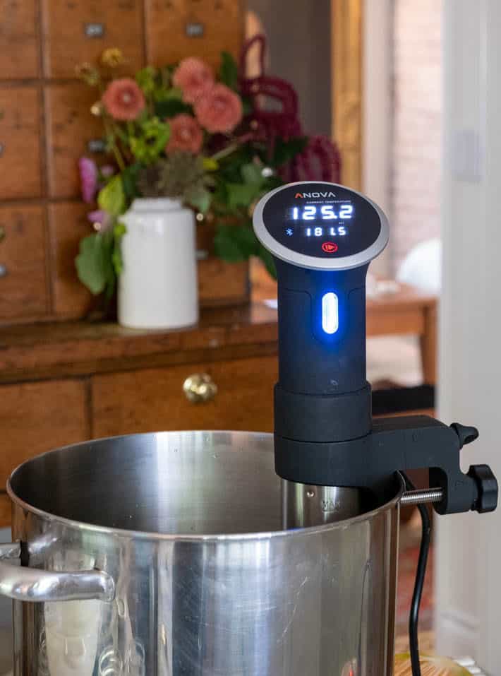 The Nova Sous Vide stick in a stainless-steel pot. An ironstone jar with a flower arrangement sitting can be seen in the background. 