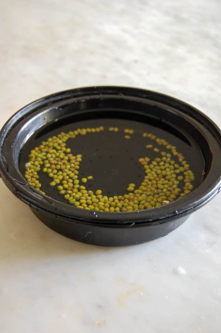 Mung beans soaking, day one.